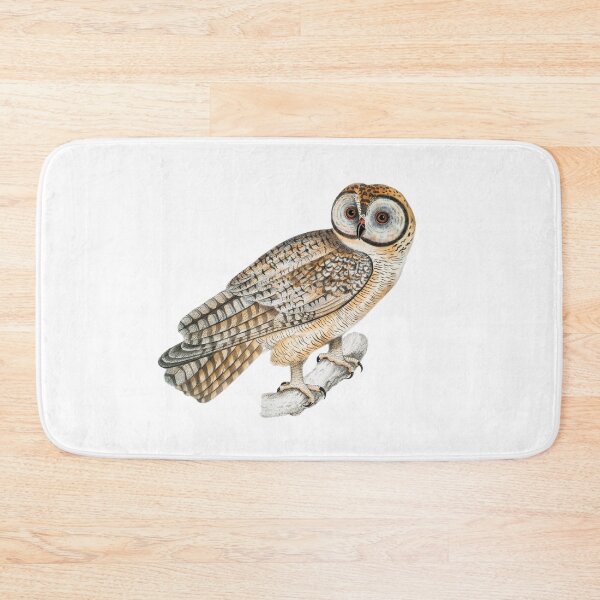 Item preview, Chinese Owl (Strix Sinensis) from Illustrations of Indian zoology (1830-1834) designed and sold by ShopThousand.