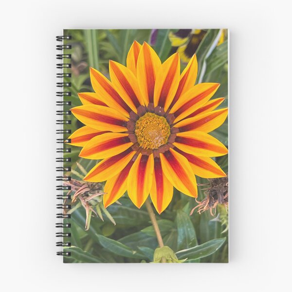 Item preview, Gazania Flower designed and sold by RPMouton.