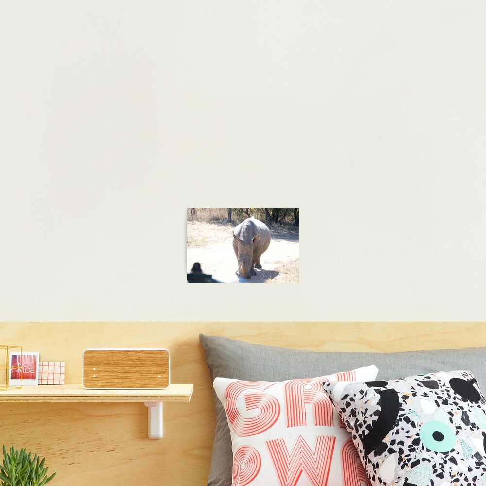 Item preview, Photographic Print designed and sold by RPMouton.