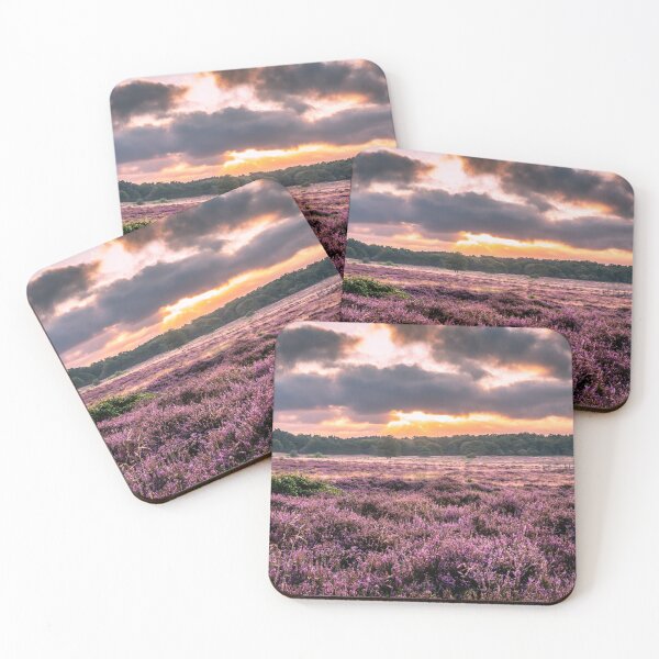 Item preview, Blooming heather at sunrise at Blaricummerheide, Netherlands designed and sold by Dolfilms.
