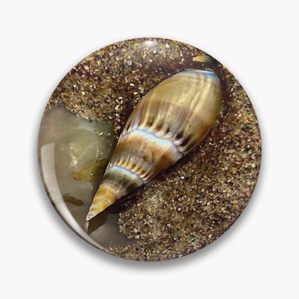 Item preview, Beach Snail designed and sold by RPMouton.