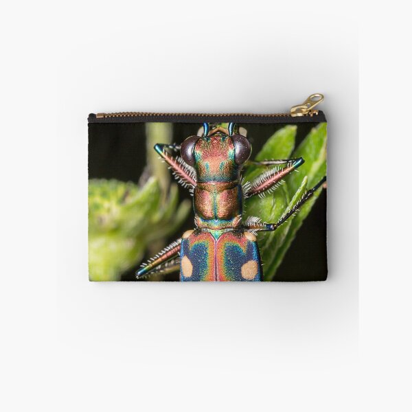 Item preview, Unique and organic photo of a tiger beetle designed and sold by AvonPerception.