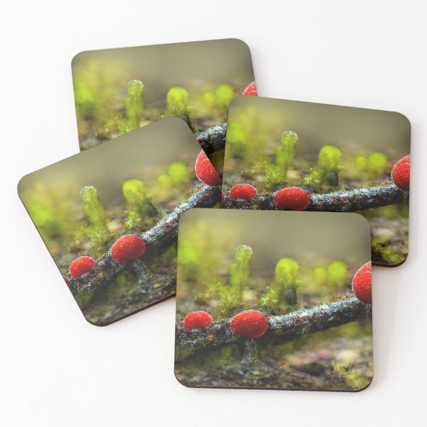 Item preview, Red spores on a tree log designed and sold by Raphael Baker.