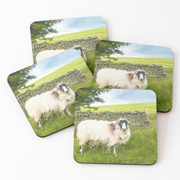 Item preview, Swaledale Sheep Artlegarth Cumbria  designed and sold by Cameranick.