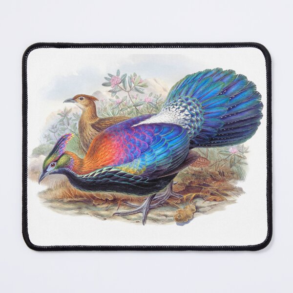 Item preview, Lophophorus L'Huysi print in high resolution by John Gould and Henry Constantine Richter. Original from The Minneapolis Institute of Art. designed and sold by ShopThousand.