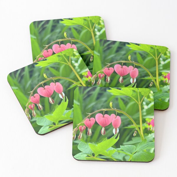 Item preview, Bleeding heart- photography by Donna Lindeen Harrington designed and sold by LabyrinthsbyDLH.