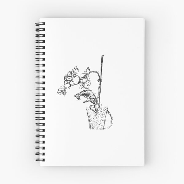 Item preview, Orchid pot sketch  designed and sold by OcasionlSnkrddl.