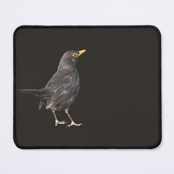 Item preview, Blackbird Vector Art Cut Out designed and sold by taiche.