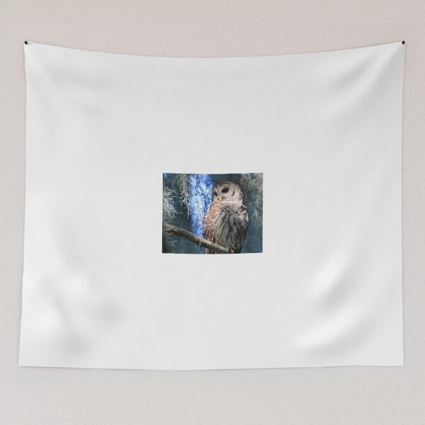 Item preview, A Florida Barred Owl designed and sold by Anthony Goldman.