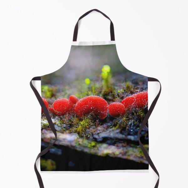 Item preview, Red slime molds growing on a mossy log designed and sold by Raphael Baker.