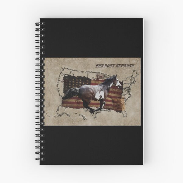 Item preview, Pony Express Pinto Horse Delivering Us Mail Sticker designed and sold by amberk1cira.