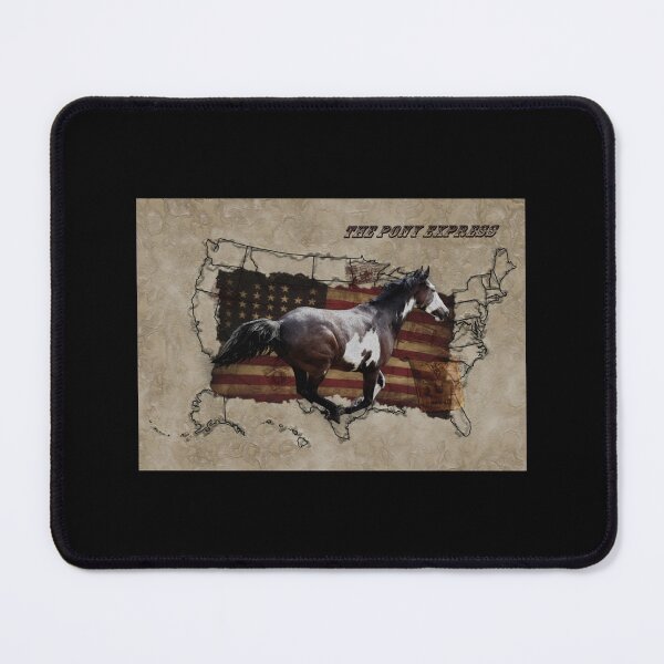 Item preview, Pony Express Pinto Horse Delivering Us Mail Sticker designed and sold by amberk1cira.