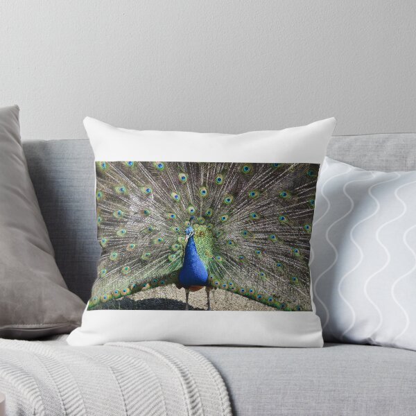 Item preview, PEACOCK designed and sold by BE-FOCUS.