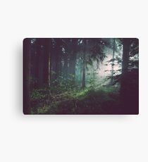 MINDS IN NATURE MODERN PRINTING 1 Pc #26742324 Canvas Print