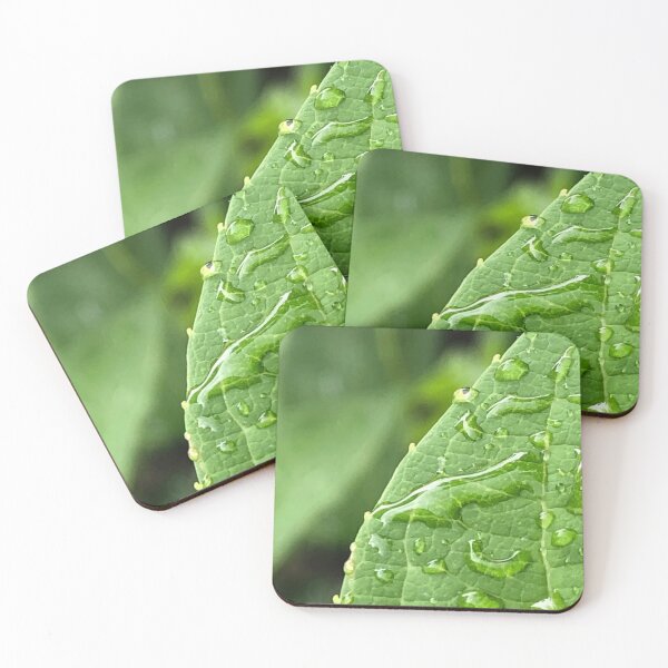 Item preview, Droplets on leaf designed and sold by Rachel Dash-Williams Creative.
