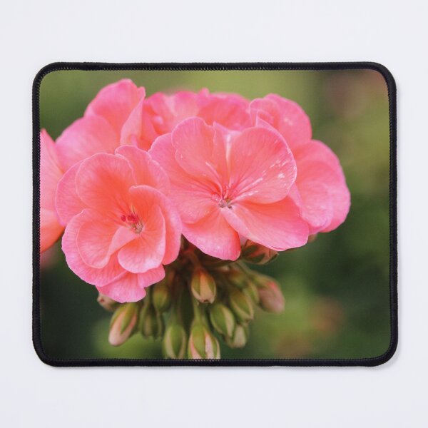 Item preview, Geranium Flower Cluster designed and sold by Cynthia48.