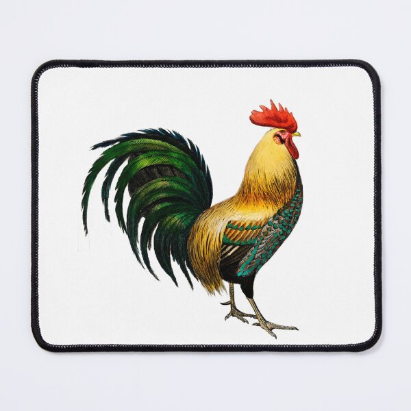 Item preview, Cock illustrated by Charles Dessalines D' Orbigny (1806-1876).  designed and sold by ShopThousand.