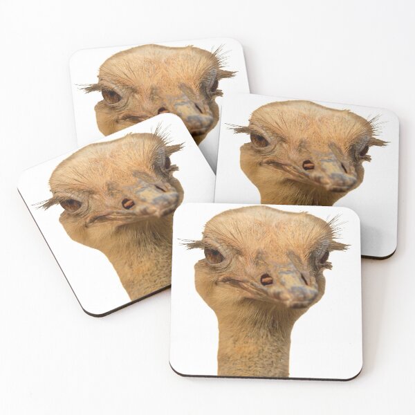 Item preview, Ostrich portrait designed and sold by Dalyndigital Photography.