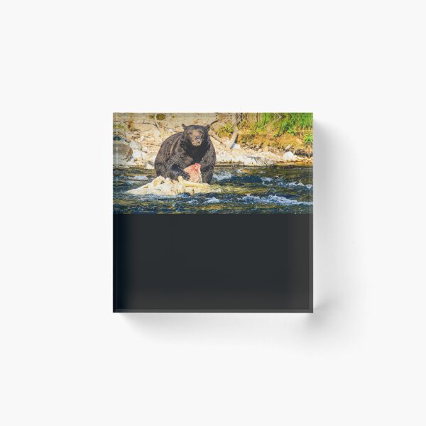 Artikelvorschau, Grizzlybär im Yellowstone Ri entworfen und verkauft von zaratemnva.