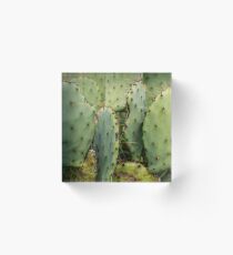 Free Hugs Acrylic Block