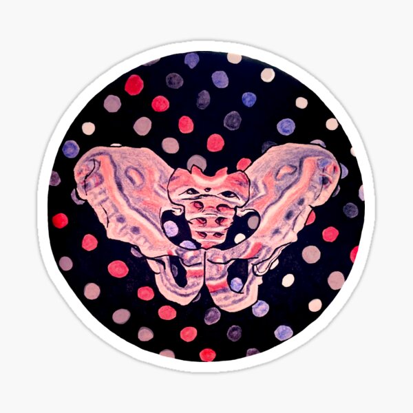 Cecropia Pelvis Sticker