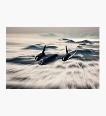 The Blackbird Photographic Print