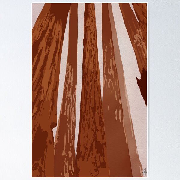 Item preview, Redwood forest illustration designed and sold by KatintheStudio.