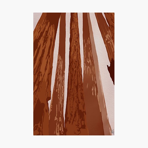 Item preview, Redwood forest illustration designed and sold by KatintheStudio.
