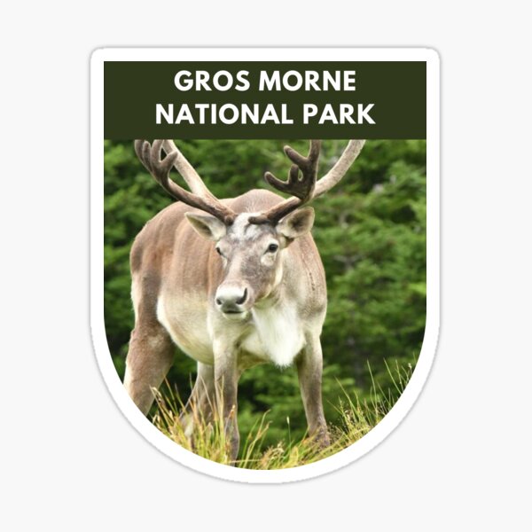 Aperçu de l'œuvre Parc national du Gros-Morne - Rennes créée et vendue par AdventurePlains.