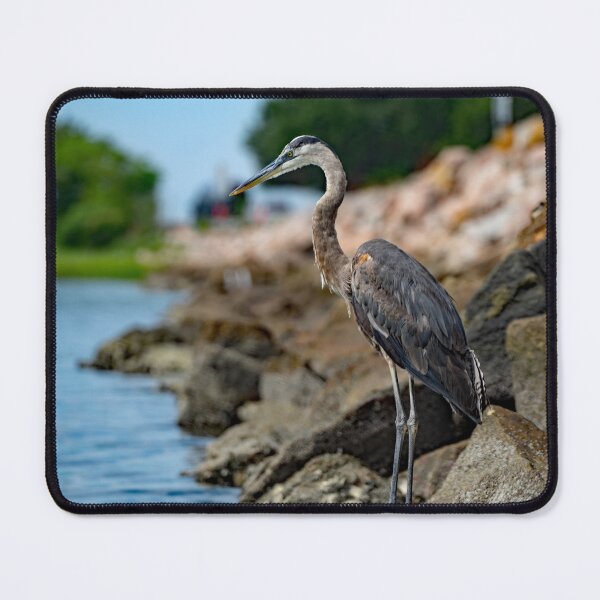 Item preview, Great Blue Heron designed and sold by ShorelineImages.