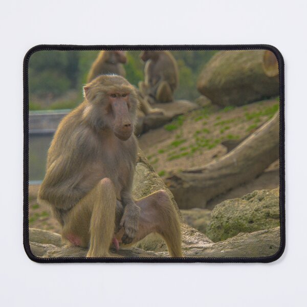 Item preview, Its a Baboon's Life designed and sold by Steven Jodoin.