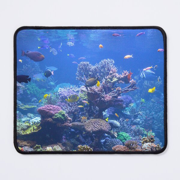 Item preview, Coral Reef designed and sold by Nature's Reflections.