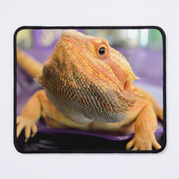 Item preview, Bearded Dragon Halloween designed and sold by Nature's Reflections.