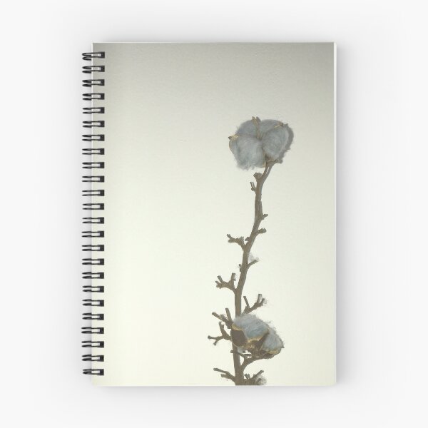 Item preview, Single twig of natural grey blue cotton boll leaning against the white illuminated wall background designed and sold by Khala.