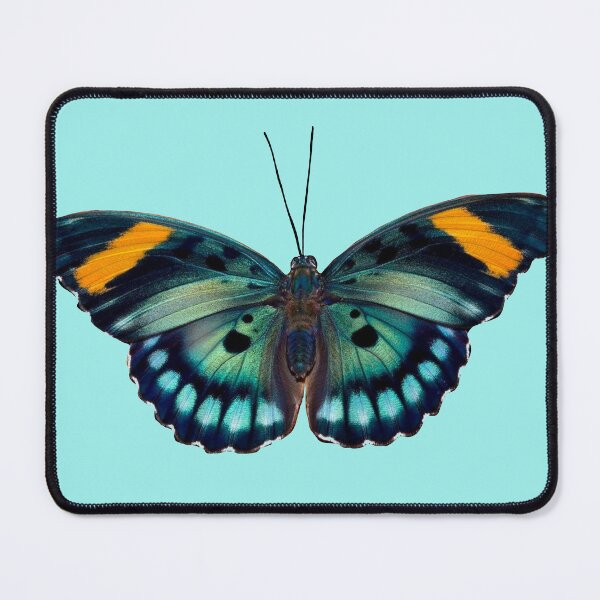 Item preview, Blue Butterfly  designed and sold by Eve :).