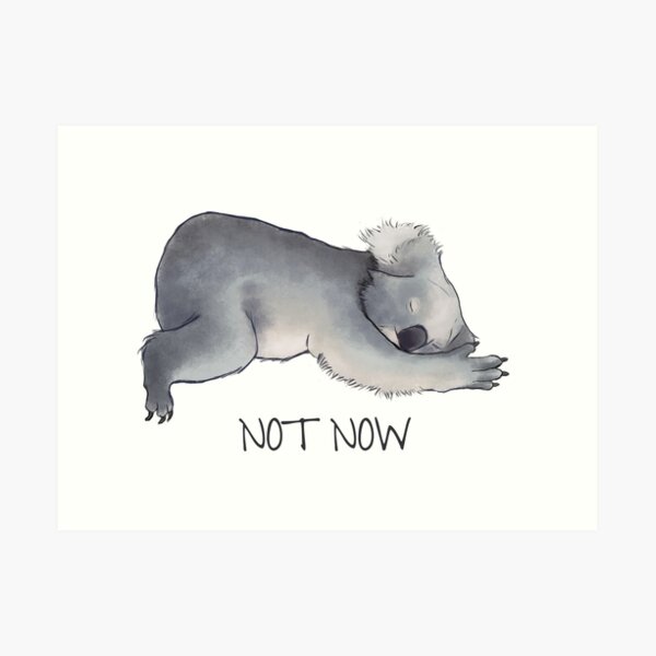 Koala Sketch - Not Now - Lazy animal Art Print