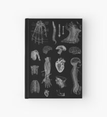 Vintage Anatomy Print Hardcover Journal