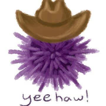 Artwork thumbnail, Cute Yee Haw Cowboy Sea Urchin by fromelsewhere
