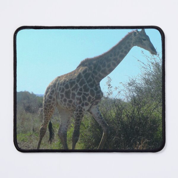 Item preview, Giraffe in the Kruger Park designed and sold by LisWilliams.