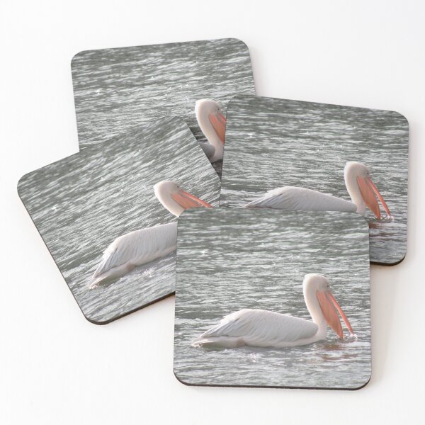 Item preview, Pretty Pelican in the Sunshine Photograph designed and sold by naturegallery.