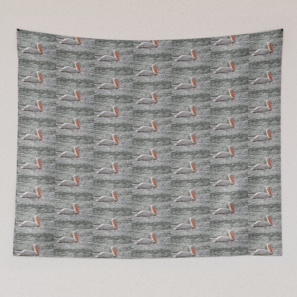 Item preview, Pretty Pelican in the Sunshine Photograph designed and sold by naturegallery.