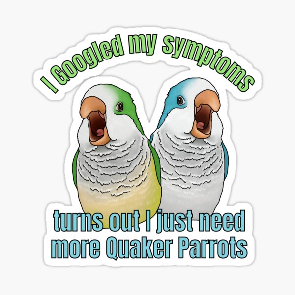 quaker-parrot-memes-ubicaciondepersonas-cdmx-gob-mx