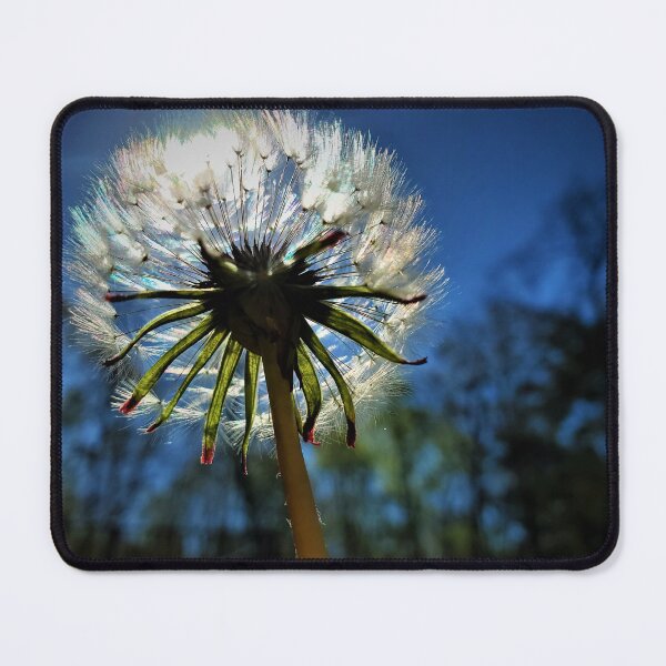 Item preview, Dandelion rainbow designed and sold by ChatStroh.