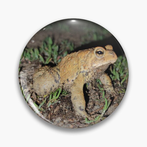 Item preview, Toadie in the dark designed and sold by Lake-Vostok.
