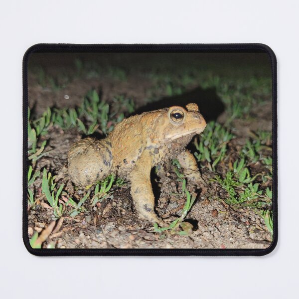 Item preview, Toadie in the dark designed and sold by Lake-Vostok.