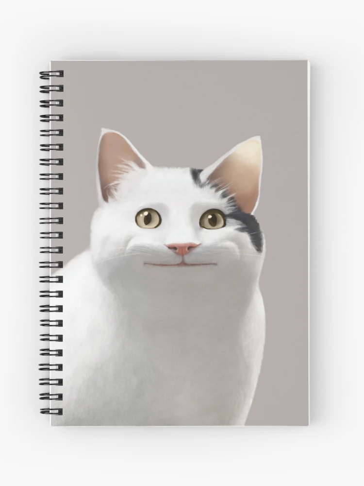 sn,x1000-pad,750x1000,f8f8f8.webp