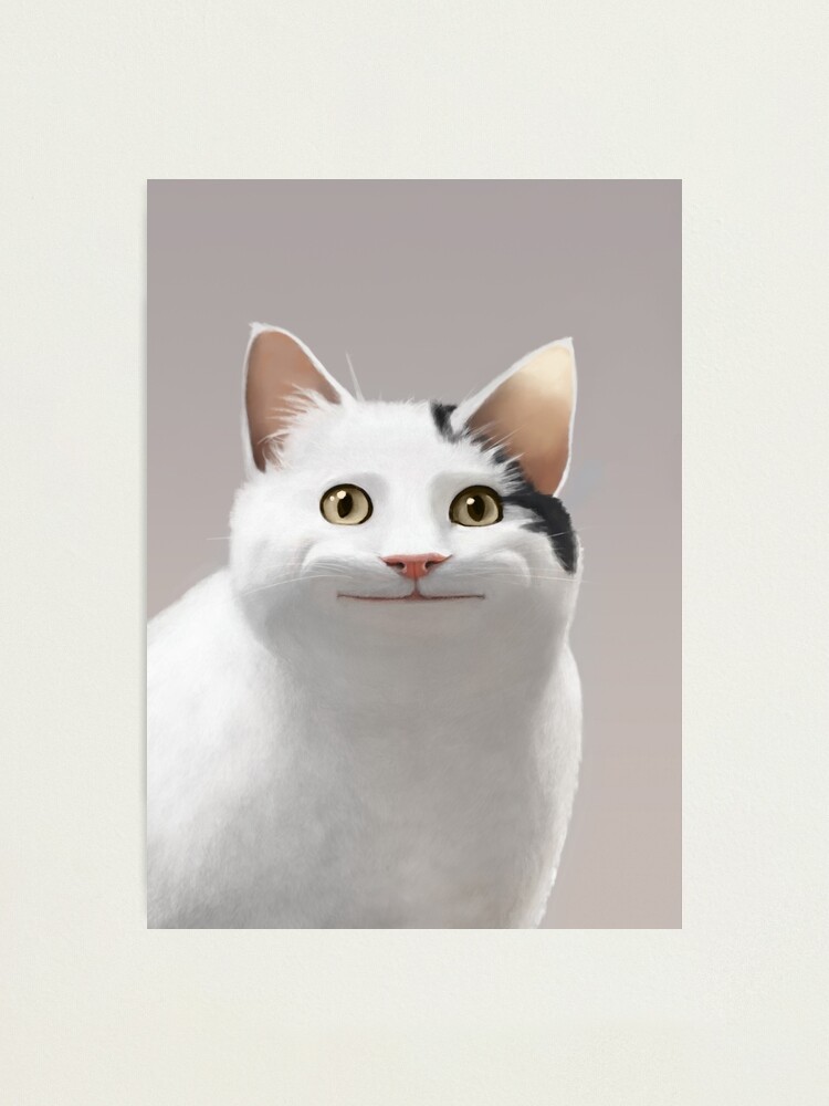 Polite Cat Meme | Photographic Print