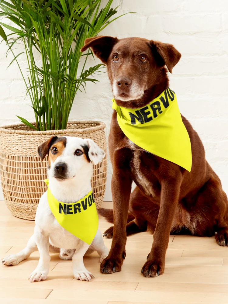 Nervous dog harness hotsell