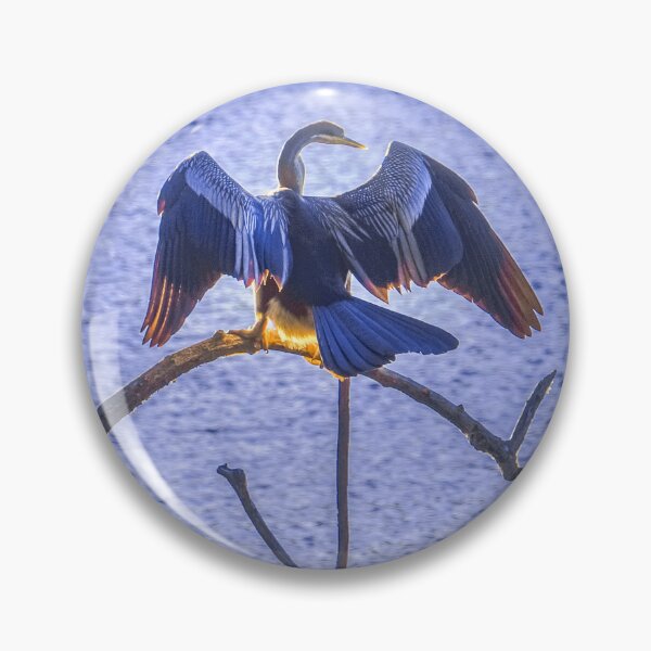Item preview, Australasian Darter Drying His Wings designed and sold by Steven Jodoin.