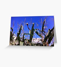 From within the maze Greeting Card
